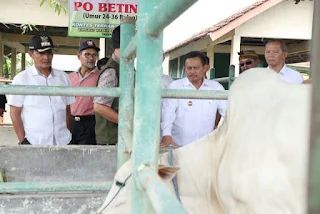 Indramayu Punya Potensi Besar Sebagai Kawasan Peternakan 