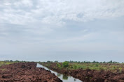 Tidak Hadir Rapat RDP Komisi 1 Dprd Kota Dumai,PT RUJ Diam-Diam Membikin KANAL Di Lahan Masyarakat"