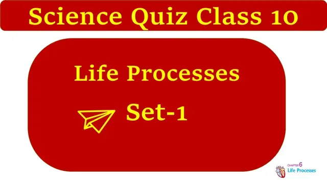 Class 10 Life Processes MCQ Online Test