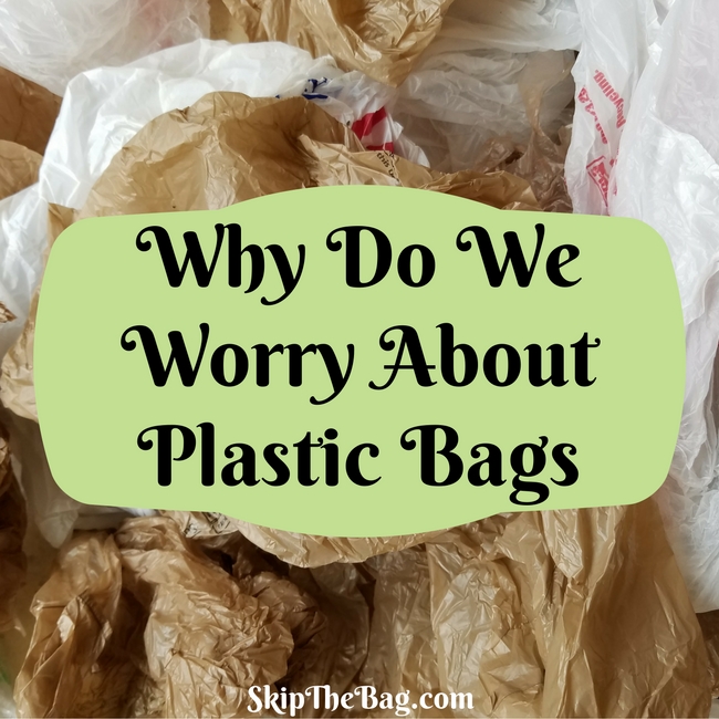 Why Do We Worry About Plastic Bags