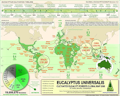 GIT Forestry Planted Forests Map: Eucalyptus cultivated forests worldwide Map 2008, 2009, 2010 and 2011 / Eucalyptus cultivation map / Eucalypt forests in the world / Mapa de plantaciones de eucalipto en el mundo / Mapa de cultivo de eucalipto en el mundo / GIT metsätalousministeriö istutusmetsiä Kartta: Eukalyptus viljelymetsiä maailmanlaajuisesti Kartta 2008, 2009, 2010 ja 2011 / eukalyptuksen viljelyyn kartta / Eucalypt metsien maailma / GIT forêts forêts plantées Carte: les forêts d'eucalyptus cultivés dans le monde Plan 2008, 2009, 2010 et 2011 / Plan de la culture des forêts d'eucalyptus Eucalyptus / dans le monde / GIT Forstwirtschaft gepflanzte Wälder Karte: Eukalyptus bewirtschafteten Wäldern weltweit Karte 2008, 2009, 2010 und 2011 / Eukalyptus Anbau Karte / Eukalyptuswälder in der Welt / GIT skogsbruk planterad skog Karta: Eucalyptus odlade skogar över hela världen Map 2008, 2009, 2010 och 2011 / Eucalyptus odling karta / Eucalypt skogar i världen / GIT的林业人工林地图：世界地图桉树种植森林的2008年，2009年，2010年和2011 /桉树种植在世界地图/桉树林/ GITに林業植林地図：ユーカリ栽培林地図2008年、2009年、2010年と2011年/ユーカリ栽培マップ/ユーカリの森の世界で世界的に/ GIT forestali Piantati Foreste Map: foreste di eucalipti coltivati ​​in tutto il mondo Map 2008, 2009, 2010 e 2011 / map coltivazione di eucalipto / foreste di eucalipto nel mondo / GIT Bosbouw aangeplante bossen Kaart: Eucalyptus gecultiveerde bossen wereldwijd Kaart 2008, 2009, 2010 en 2011 / Eucalyptus teelt kaart / Eucalyptus bossen in de wereld / Gustavo Iglesias Trabado y Dennis Wilstermann / GIT Forestry Consulting - Consultoría y Servicios de Ingeniería Agroforestal, Lugo, Galicia, España, Spain / Eucalyptologics - Information Resources on Eucalyptus Cultivation Around the World - Recursos de informacion sobre el cultivo del eucalipto en el mundo