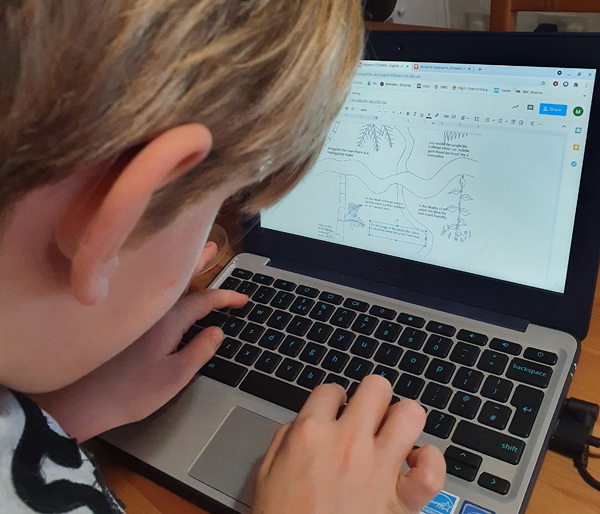 9-year-old studying English on the Chromebook