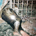 Robber Gets Stuck Trying To Dig Out Of His Cell in OYO (Graphic Photos)