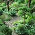 Stone garden pathway