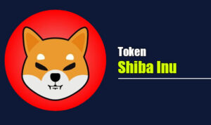 Shiba Inu, SHIB coin