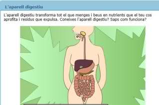 http://www.edu365.com/primaria/muds/natural/digestiu1/index.htm