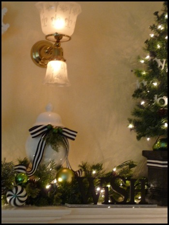 Christmas 2011 012 (600x800)