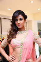 Sonal Chauhan New Stills