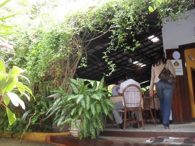 Boa opção para quem gosta de comida natural