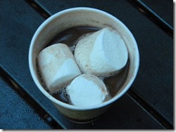 camp mocha