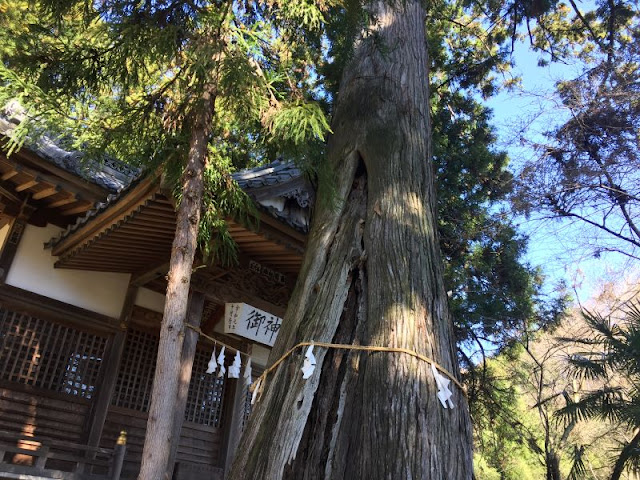 三光神社