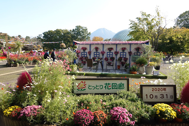 鳥取県西伯郡南部町鶴田　とっとり花回廊　エントランス展示