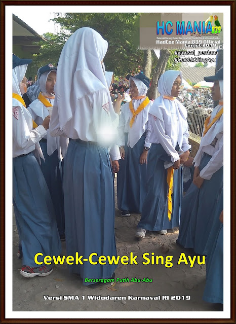 GamSol Perdana Terbaik di Indonesia - Gambar SMA 1 Widodaren Cover Putih Abu-Abu - 1