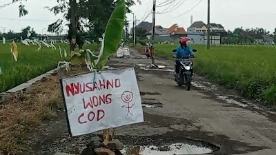 Kesal Jalan Rusak Dibiarkan, Warga Tanami pohon Pisang