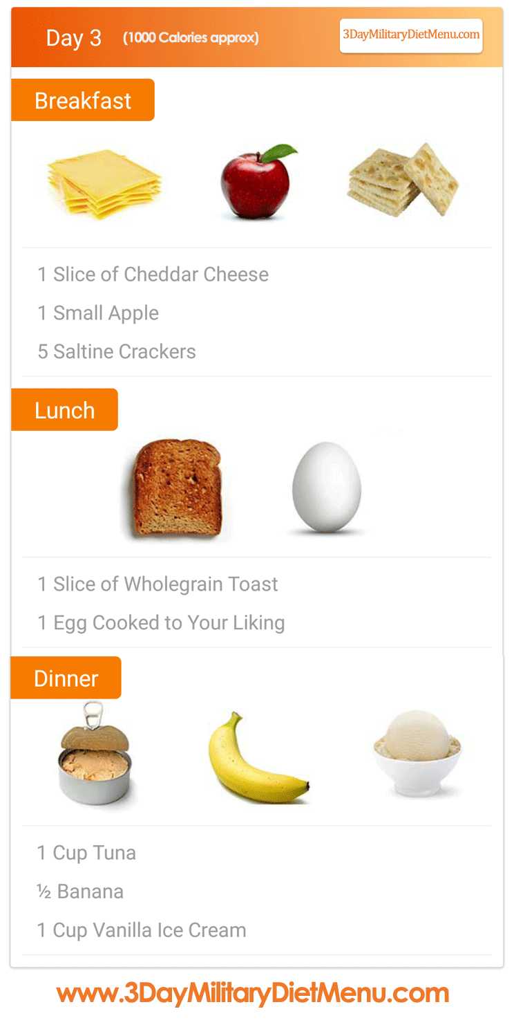 what is the three day military diet