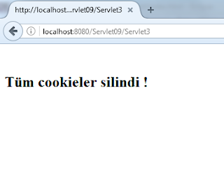 Servlet Cookieler projesi