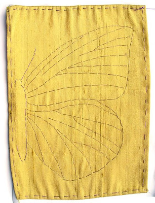 for butterfly wing front