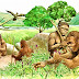 History of Humans Short Overview
