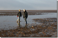 Snettisham