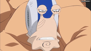 ワンピースアニメ ドレスローザ編 661話 電伝虫 | ONE PIECE Episode 661