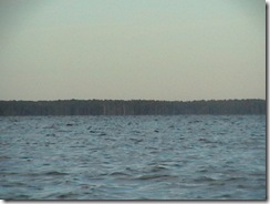IMGA0776