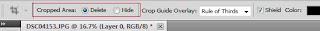 Hide and Delete options of Crop Tool