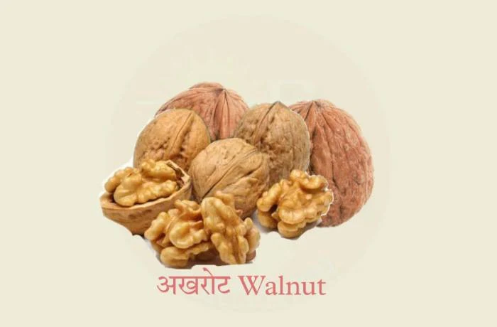 Dry Walnut