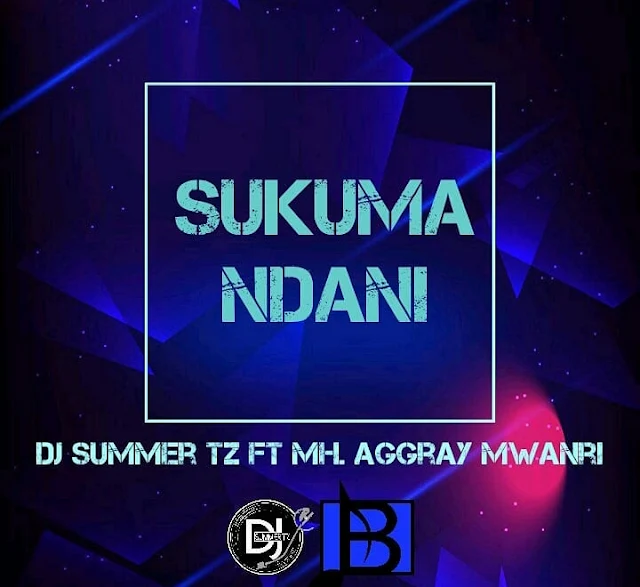  DJ Summer TZ Ft Mh. Aggray Mwanri - Sukuma Ndani | MP3 Download