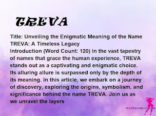 meaning of the name "TREVA"