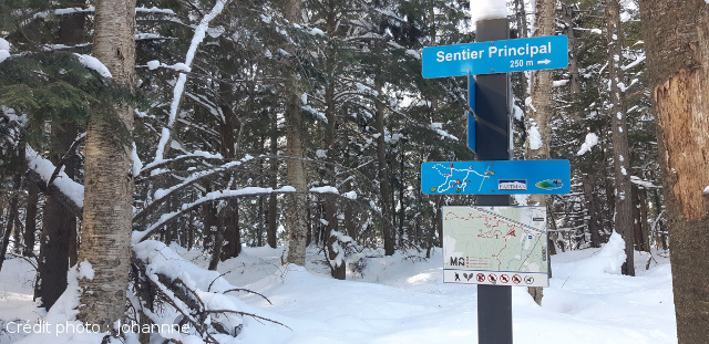 Vallée de Missisquoi Nord | Sentiers d'hiver