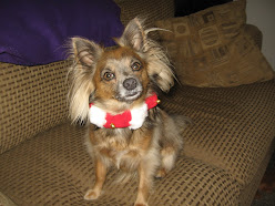 Bebe Poses for the Holidays