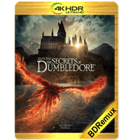 ANIMALES FANTÁSTICOS: LOS SECRETOS DE DUMBLEDORE (2022) BDREMUX 2160P HDR MKV ESPAÑOL LATINO