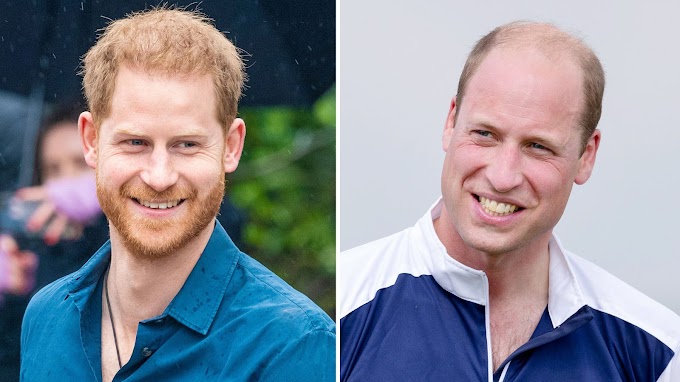 Will Prince Harry and Prince William Reunite for an Upcoming Special Event
