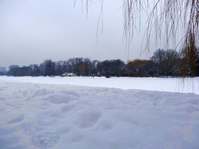 Zima w parku Skaryszewskim