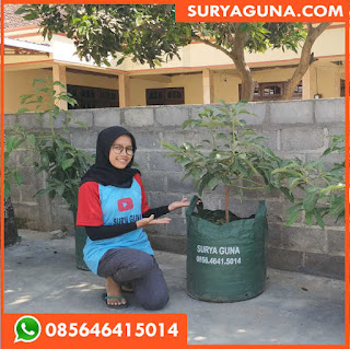 planter bag dari suryaguna 085646415014