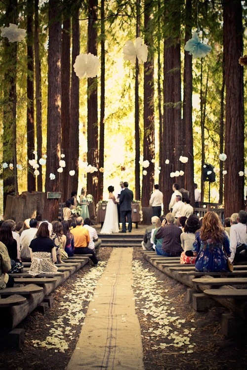 a simple outdoor wedding playing with outdoor features as props would