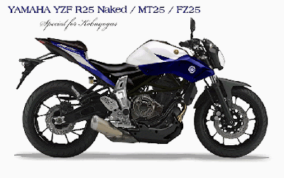 Kawasaki Z250 FI  menggunakan basis Ninja  250  FI  fairing 