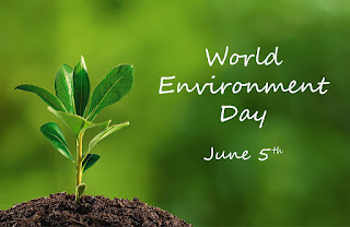 environmental quotes and sayings  world environment day slogans 2019  world environment day quotes in gujarati  funny environmental quotes  environment thoughts for school  earth day quotes  planet earth quotes  development at the cost of environment quotes