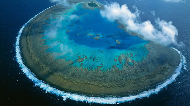 Lady Musgrave Island Australia HD Wallpaper