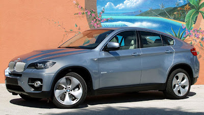 2010 BMW X6 Sports
