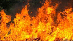 Satu Keluarga di Koja Tak Bisa Keluar Saat Kebakaran, Tewas Didalam Kontrakan