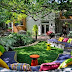 Wonderful garden space for the villas