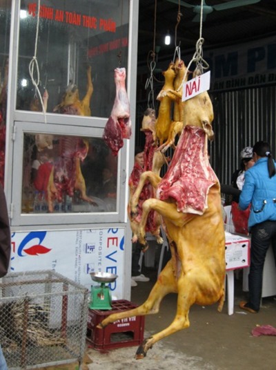 le-hoi-chua-huong (9)
