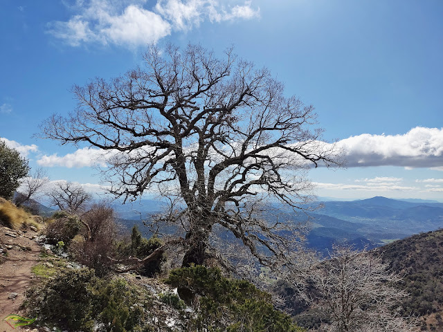 Subida circular al Pico Almadén (2.036 m) desde el Área Recreativa de la Fuenmayor (Parque Natural Sierra Mágina)