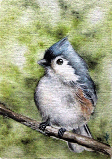 watercolour chickadee painting