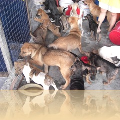 feeding time 008