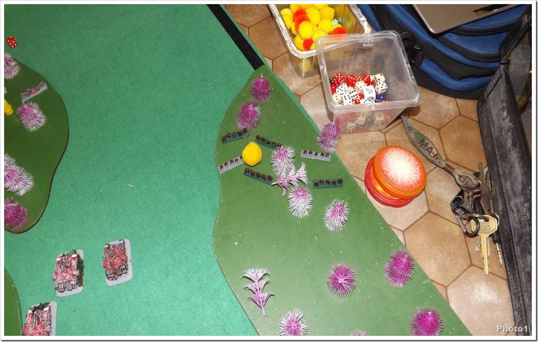 DSCF2005