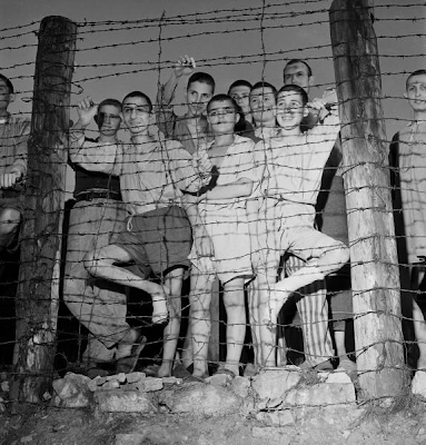 gas chambers in holocaust. gas chambers from the