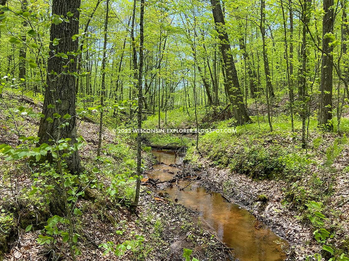 a creek in a shallow hollow