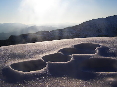 Wolf-prints in Tzoumerka mountain region